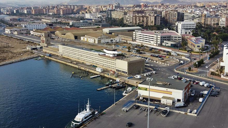 El Consell apoya el palacio de congresos del puerto pero exige que sea un icono para Alicante