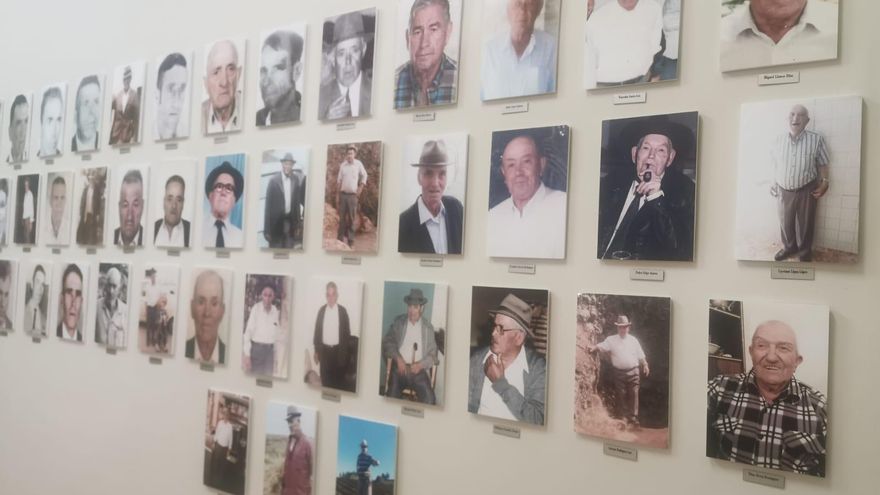 Tribute to the pigs of Icod el Alto