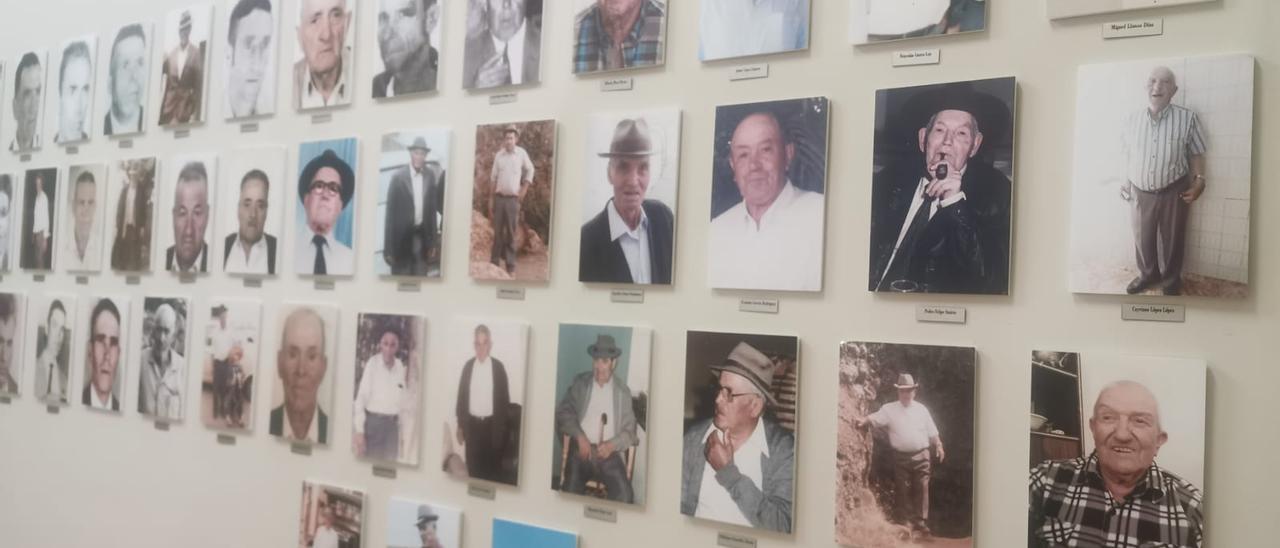 Fotos de la exposición dedicada a los cochineros de Icod el Alto