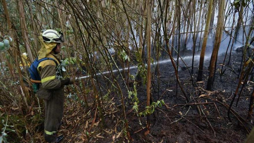 Los trabajadores de Medio Rural enfrían la zona afectada por el incendio de Tomeza. // Gustavo Santos