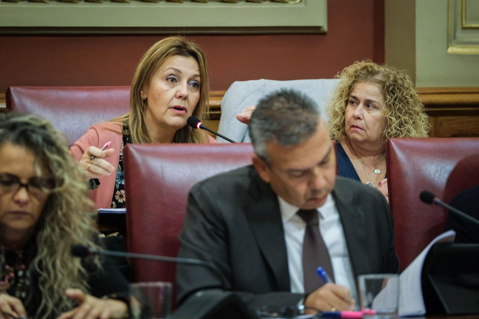 Pleno Ayuntamiento de Santa Cruz de Tenerife