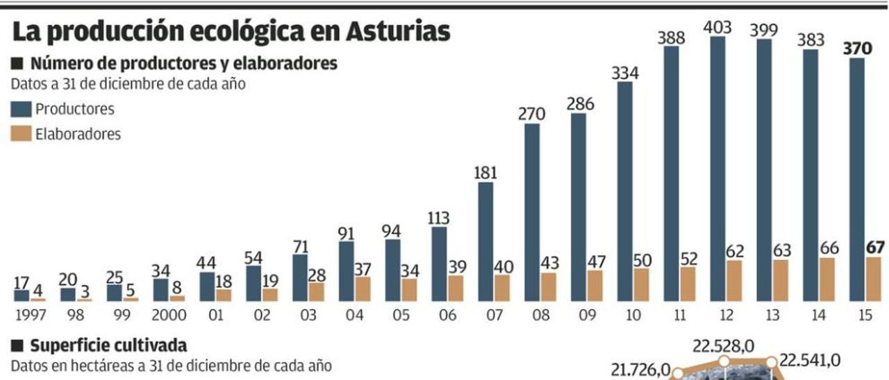 El auge de ventas de la carne de ternera asturiana impulsa la ganadería ecológica