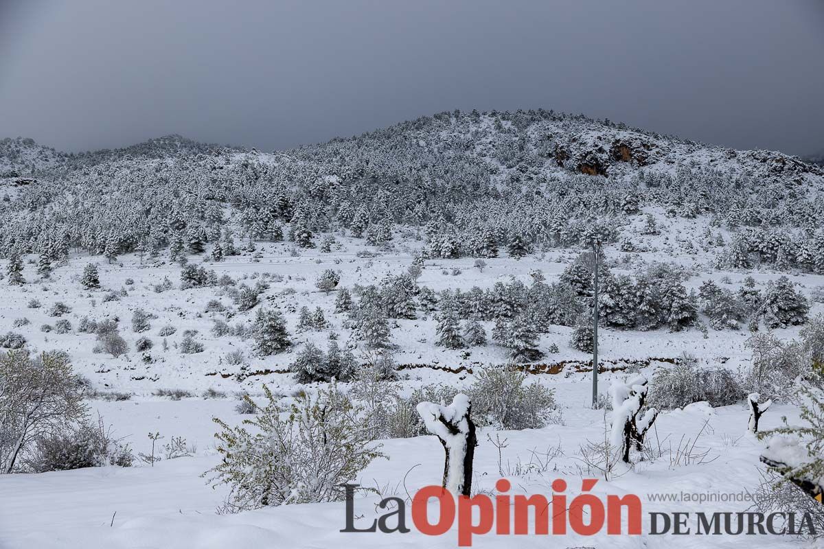 La comarca del Noroeste ofrece una estampa invernal