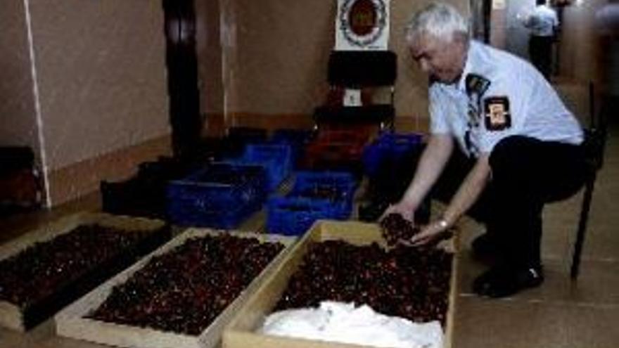 La policía local retira 111 kilos de cerezas del mercadillo por carecer del precinto sanitario