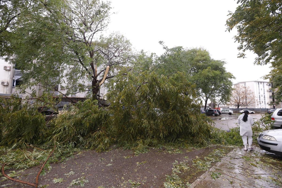 Aviso naranja en Córdoba
