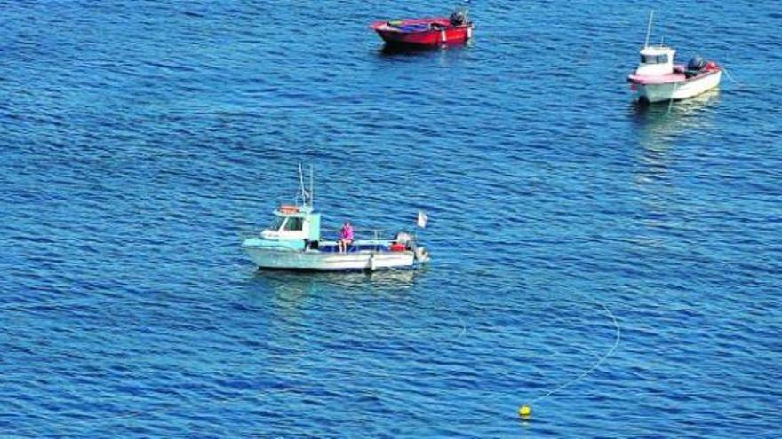 Pescadores de navaja en plena actividad. En     el agua se aprecian los tubos de suministro de aire desde superficie.  // I. Abella