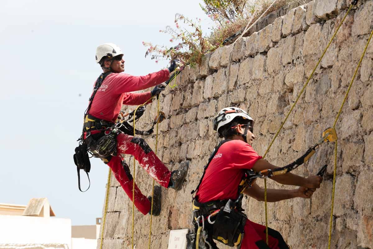 Arrancan los trabajos de limpieza de las murallas renacentistas de Ibiza