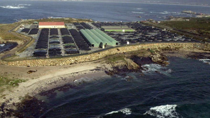 Vista de una piscifactoría en Camariñas.  // Iñaki Abella