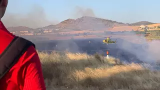 Infoca y bomberos del Consorcio intervienen en varios incendios forestales en Puente Genil