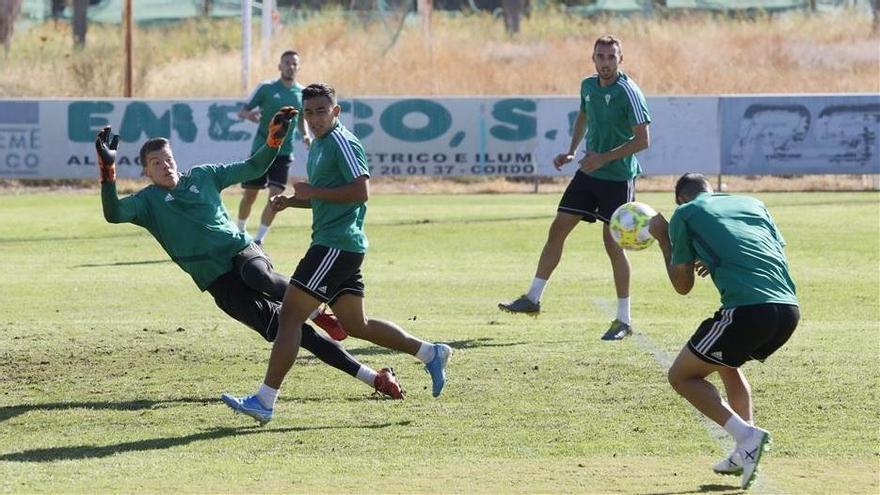 El Córdoba CF busca su primera victoria a domicilio en Algeciras