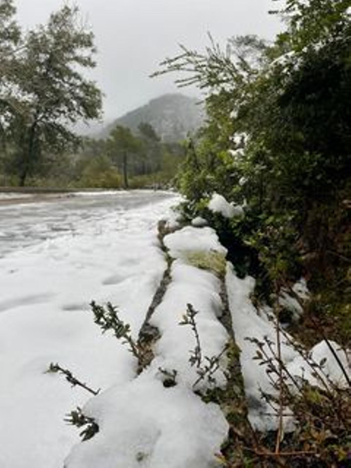 Las fotos de la nieve en Mallorca de nuestros lectores