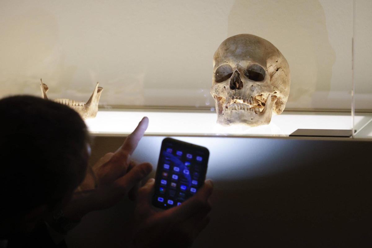 La visita guiada "Lo que los huesos cuentan" en el Palacio de Revillagigedo, en imágenes