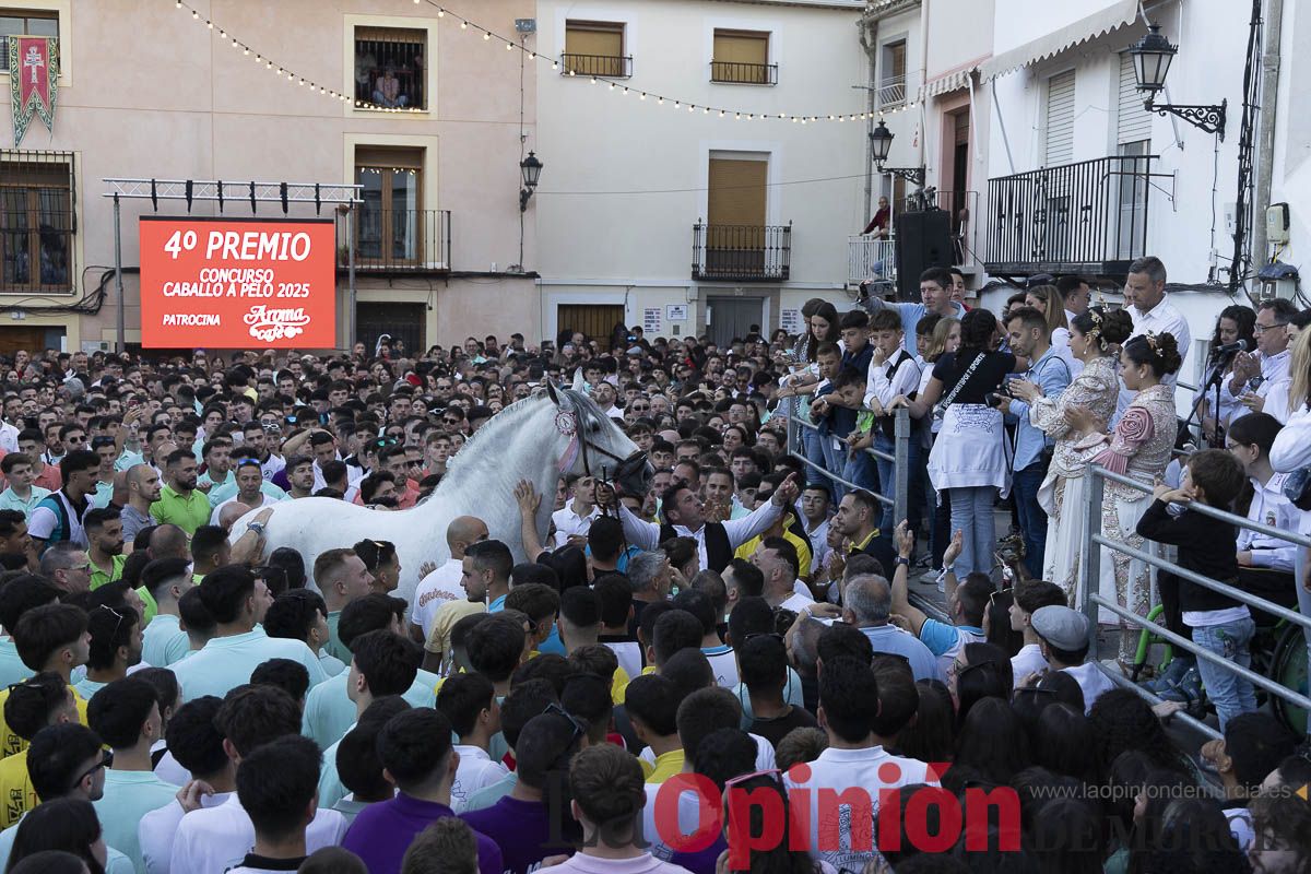 Fiestas de Caravaca | Entrega de premios del concurso morfológico