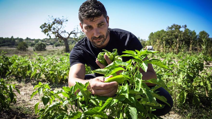 Guide Michelin 2024: Mallorca hat einen neuen Sternekoch