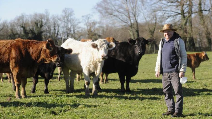 El ganadero Emerio Souto cría unas cincuenta vacas en 60hectáreas de Filgueira, en Lalín.  