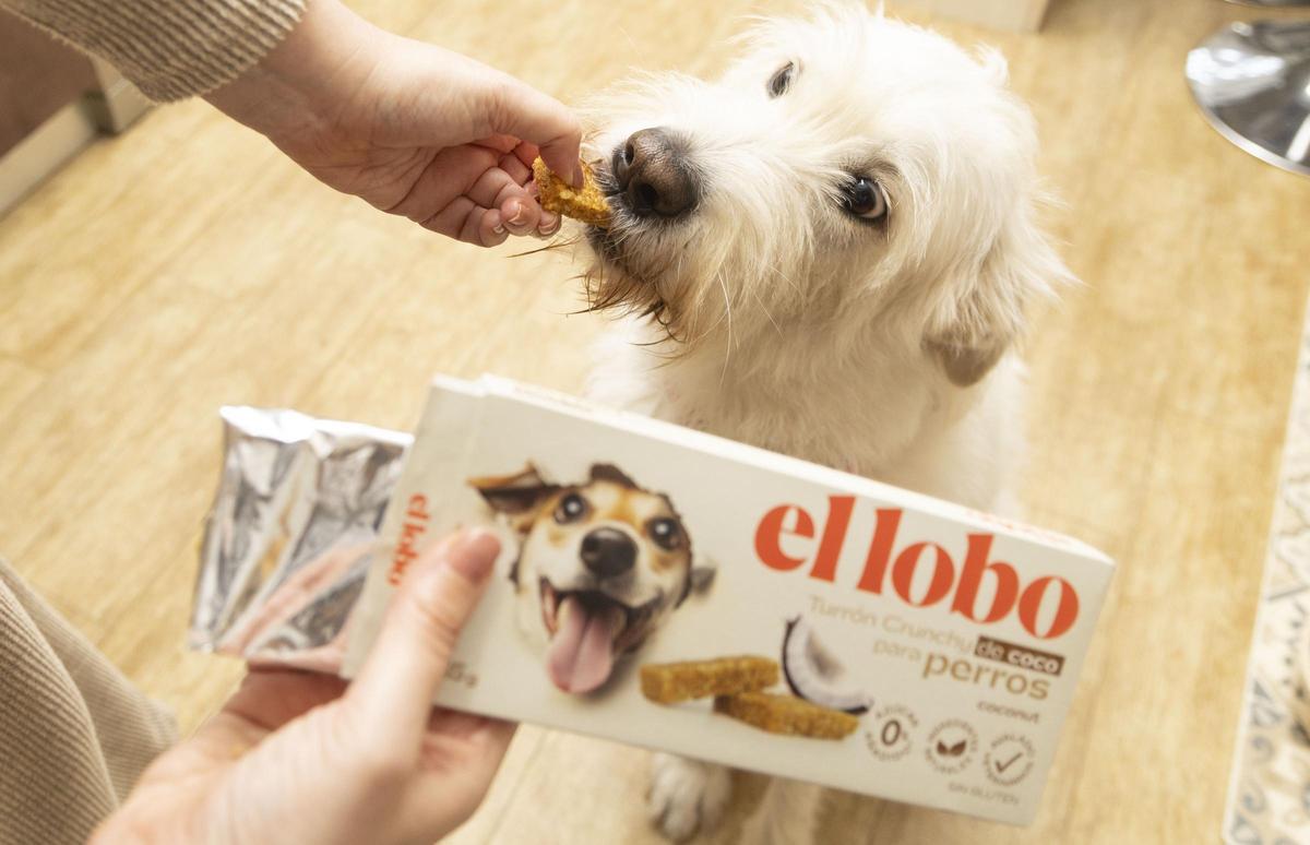 El primer turrón para perros hecho en Xixona.