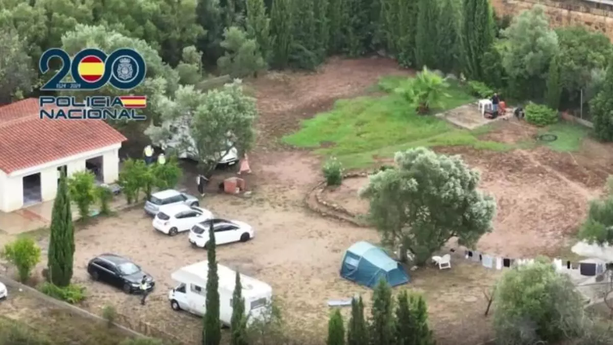 Detenidos los autores de tres estafas cometidas mediante la técnica "Rip Deal", una de ellas en Alicante