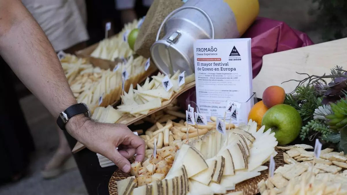 Todo a punto para Fromago 2026: la Feria Internacional del Queso desplegará más de 500 carpas en Zamora extendiéndose por más de 40.000 metros cuadrados