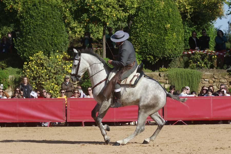 Caballos en el Alcázar