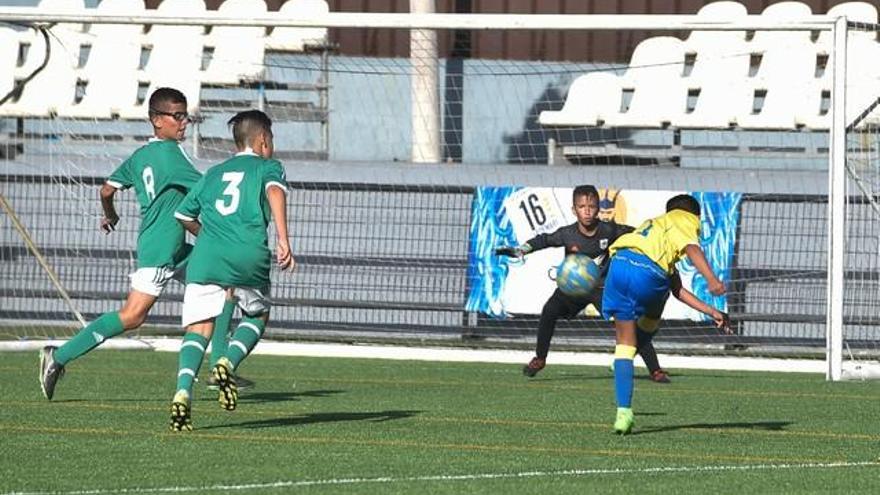 Copa de Campeones de Alevines en el campo Maspalomas