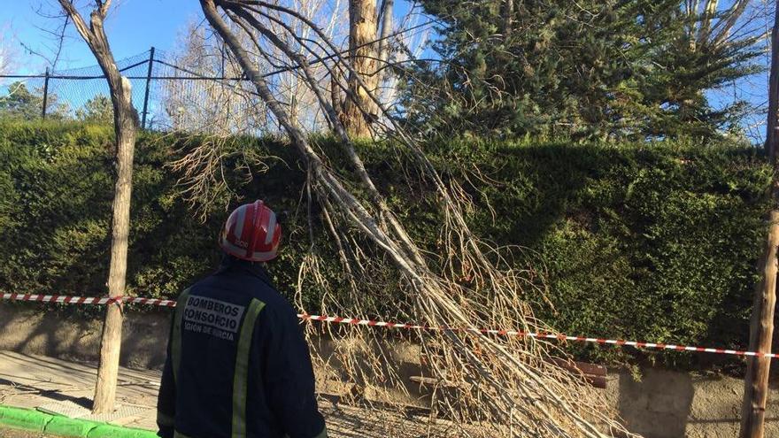 El 112 ha atendido, de momento, un total de 46 asuntos relacionados con el viento