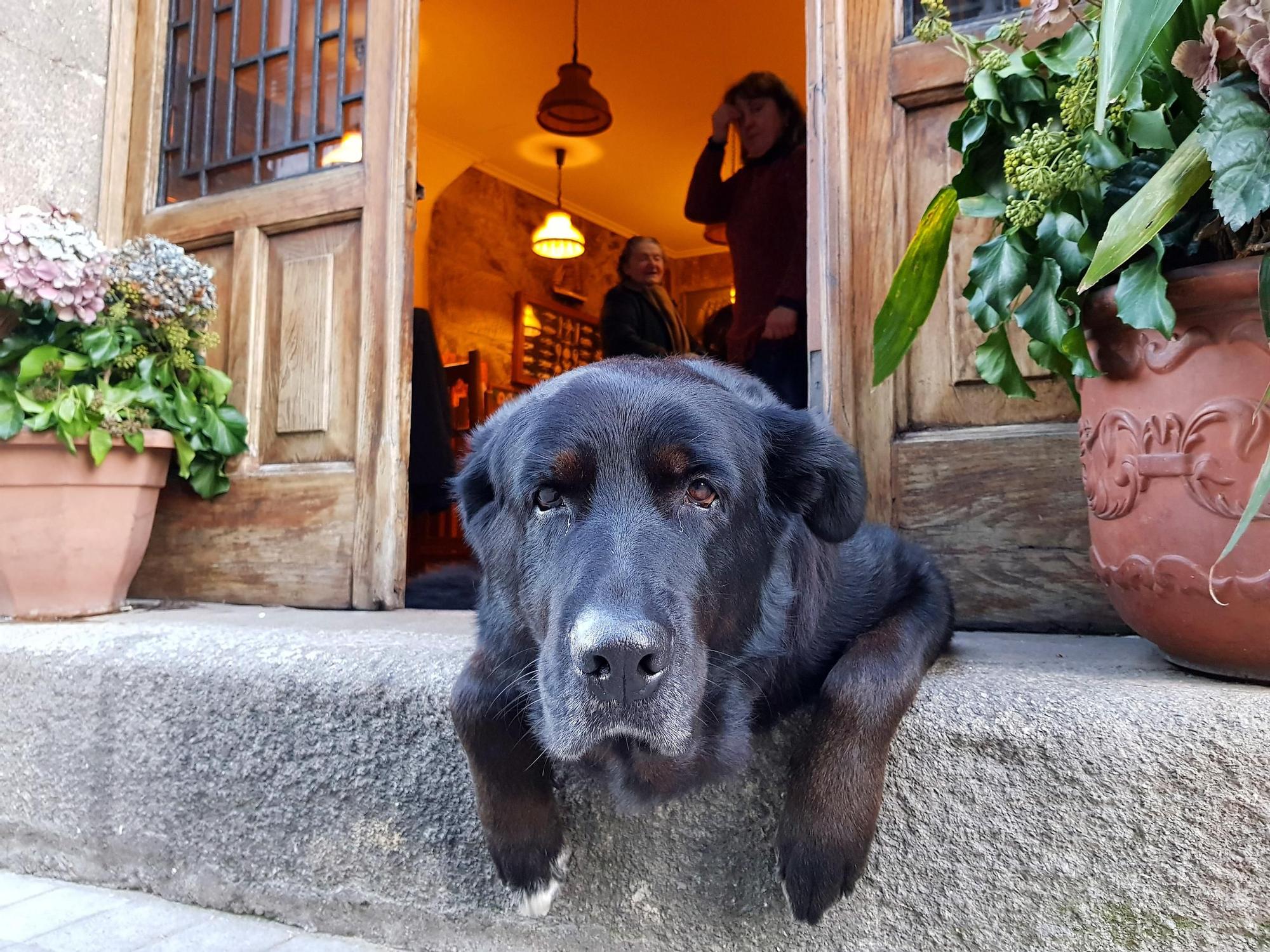 El histórico bar vigués Casa Roucos cerrará por la urbanización de Barrio do Cura