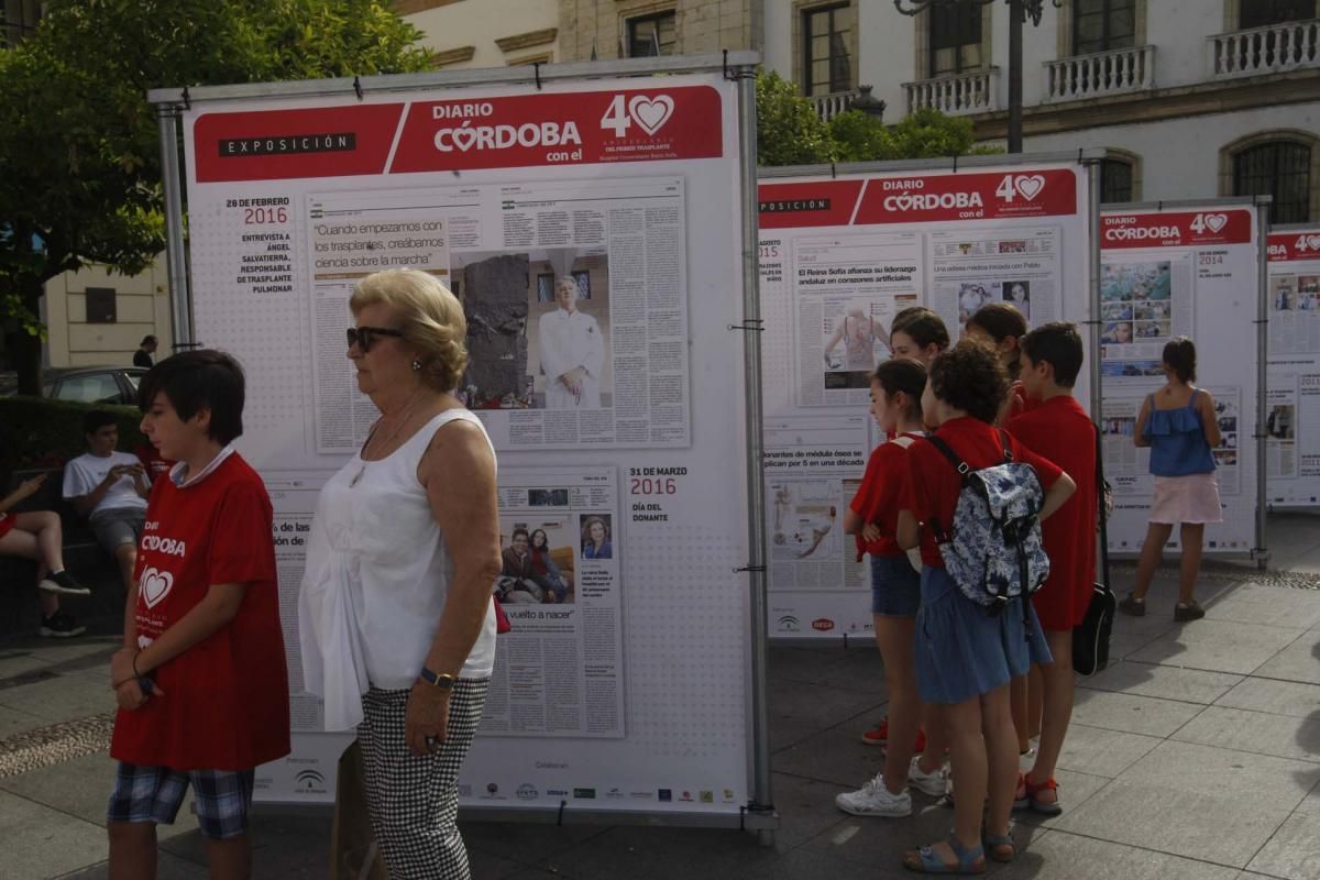 Las Tendillas se llena de 40 años de portadas de Diario CÓRDOBA sobre trasplantes