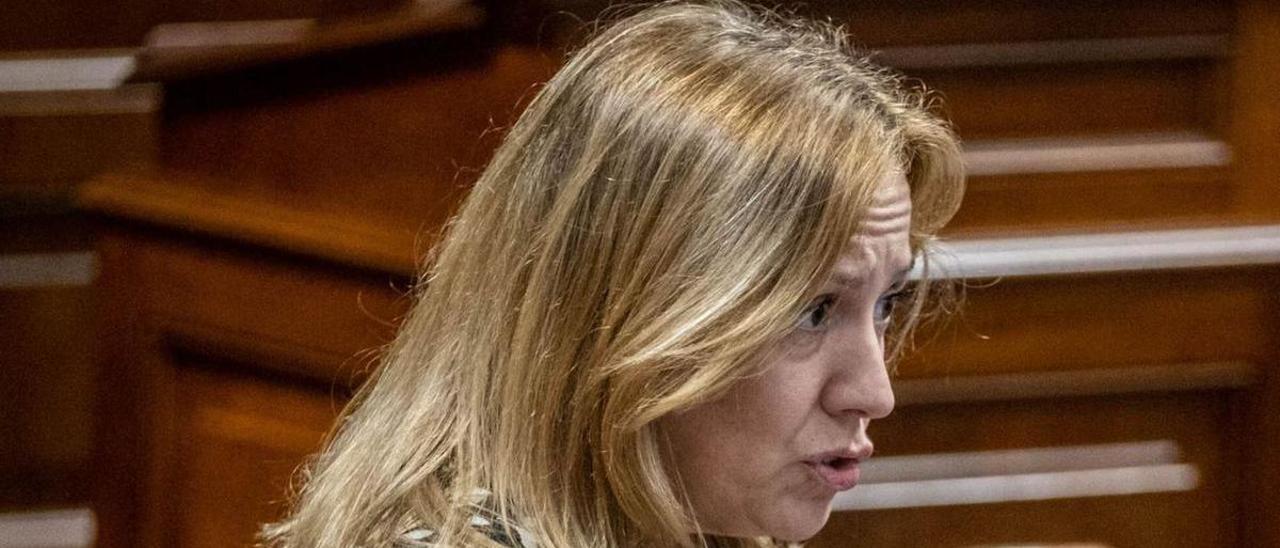 La diputada de CC, Rosa Dávila, ayer en el pleno del Parlamento de Canarias. | |