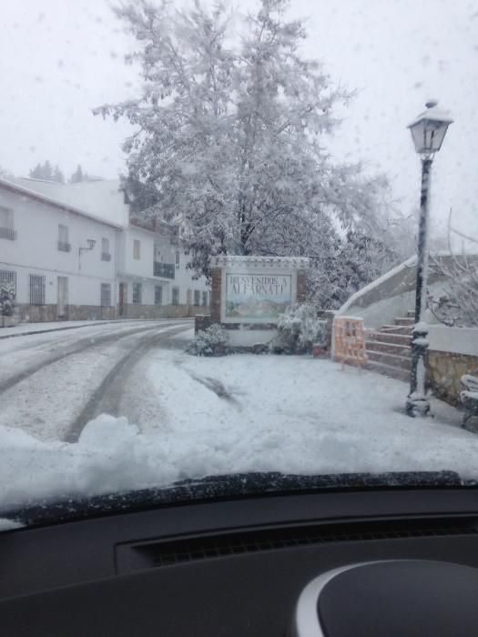 Nieve en Alfarnate.