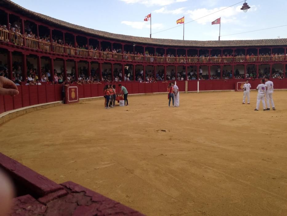 Fiestas Toro- concurso de jóvenes cortadores