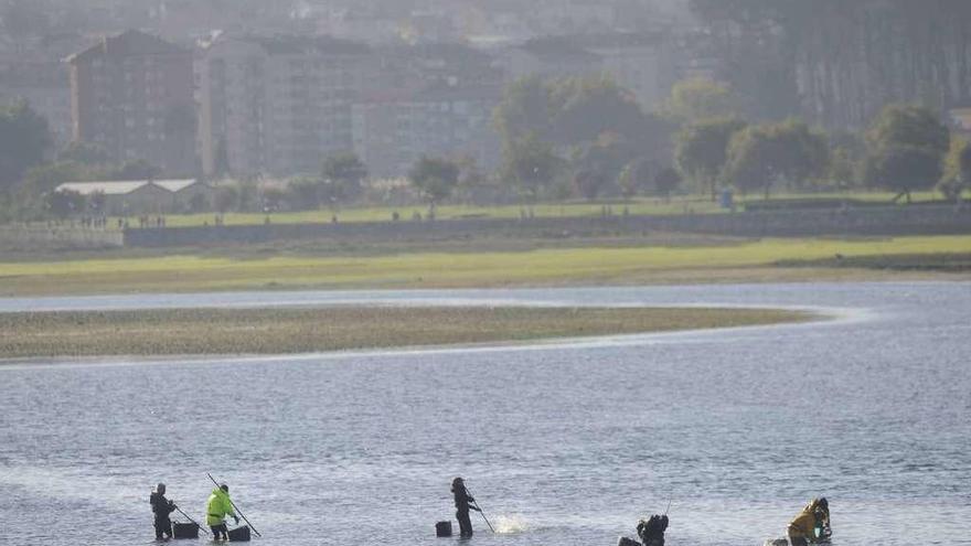 Mariscadores en la ría de O Burgo, el pasado otoño.