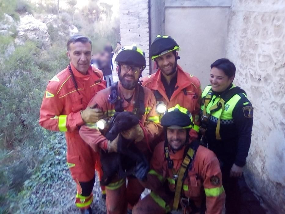 Rescatan a un perro de un pozo en Chiva