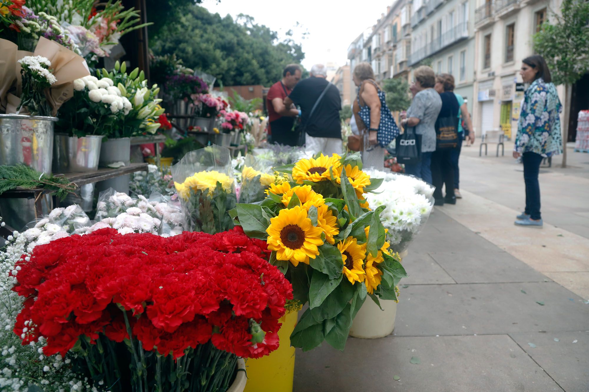 Venta de flores en Málaga de cara al 1 de noviembre, Día de Todos los Santos