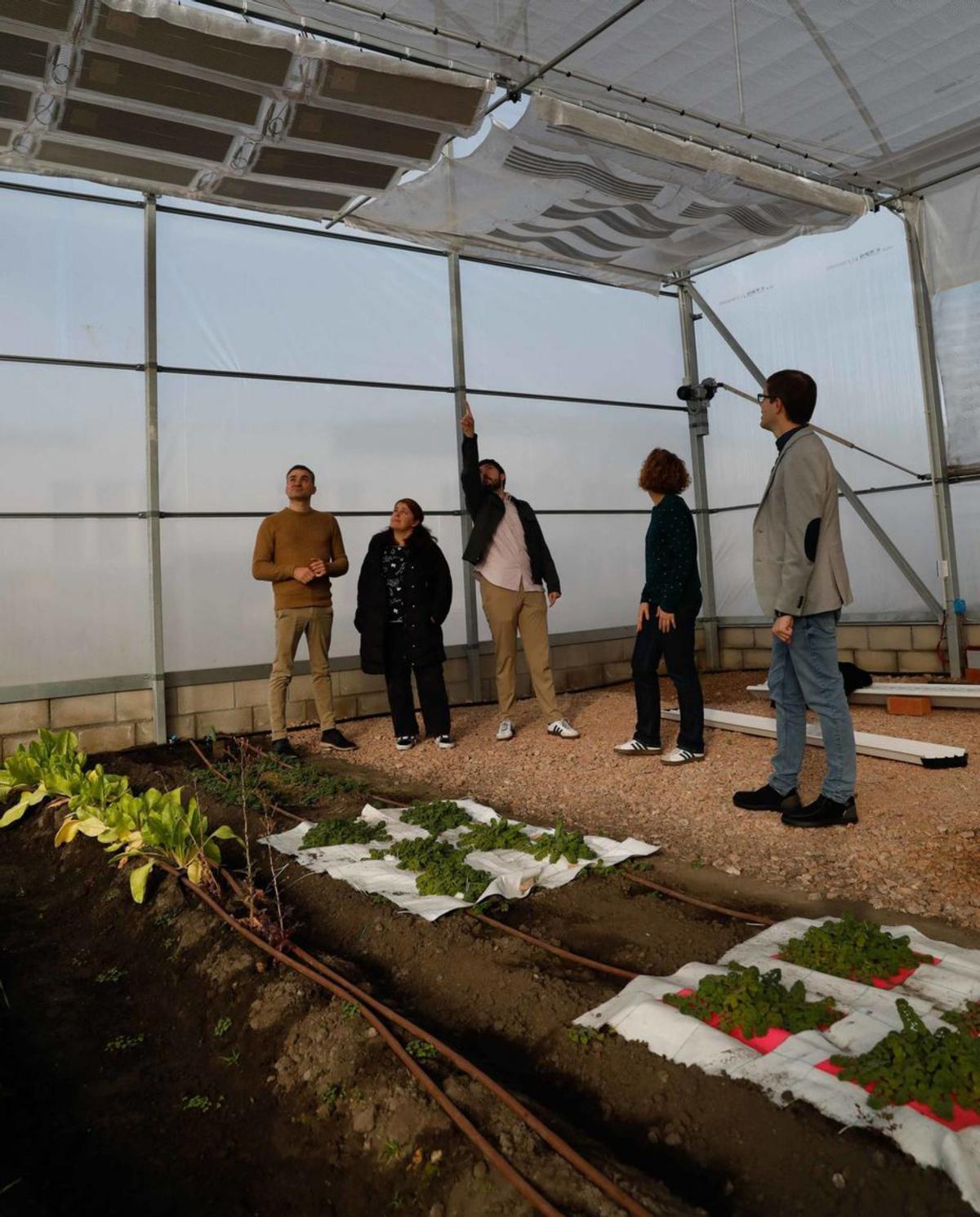 Invernadero del centro de I+D de Gonvarri en Corvera. | MARA VILLAMUZA