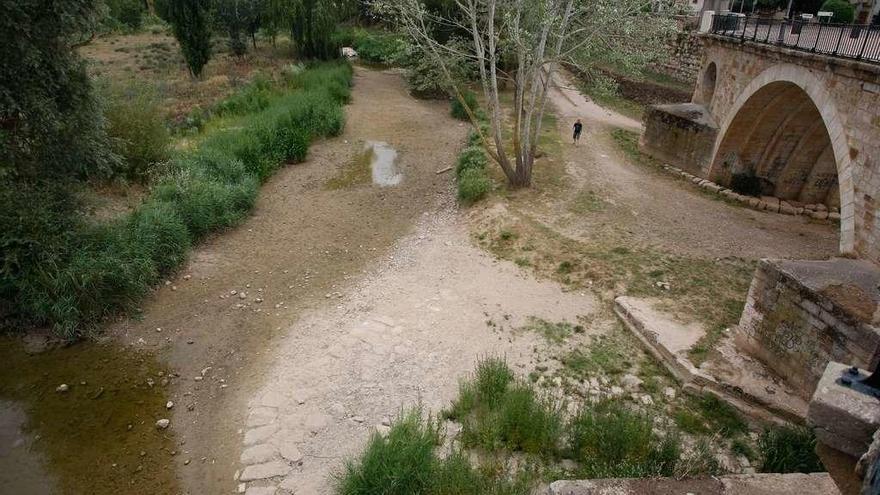 La orilla del río Duero pierde varios metros en la margen izquierda debido a la sequía.