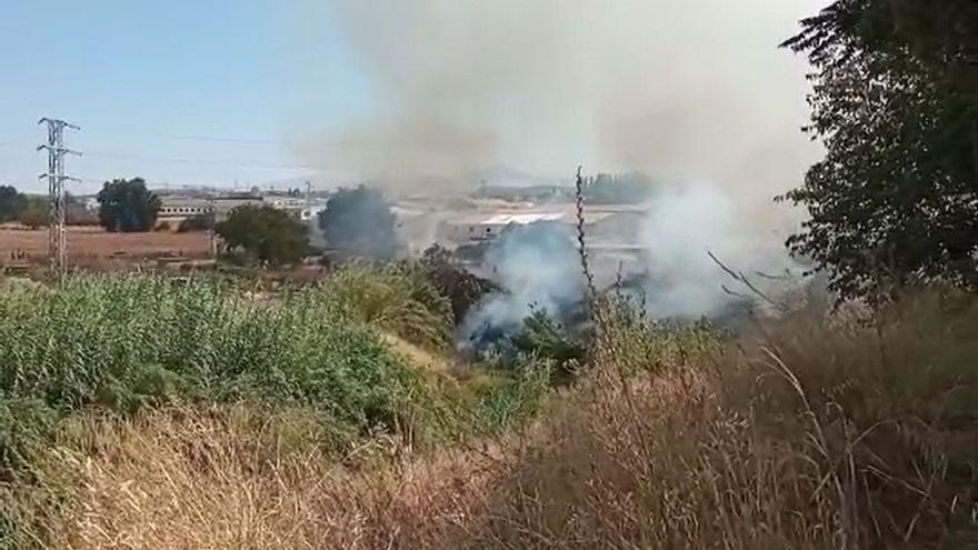 Incendio del cañaveral de Lucena