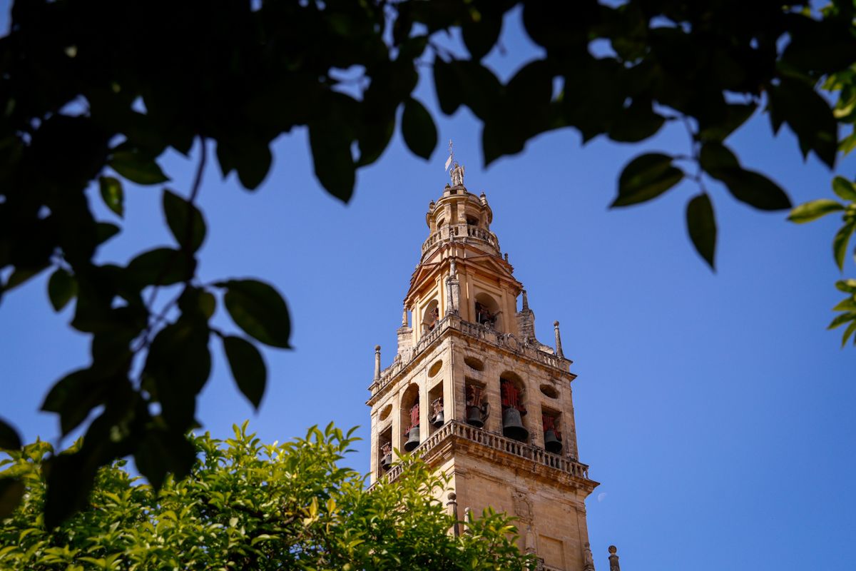 Comienza el montaje de las instalaciones de Flora 2025