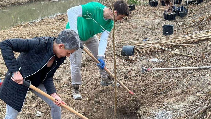 Beniel | Avanza la recuperación del bosque de ribera