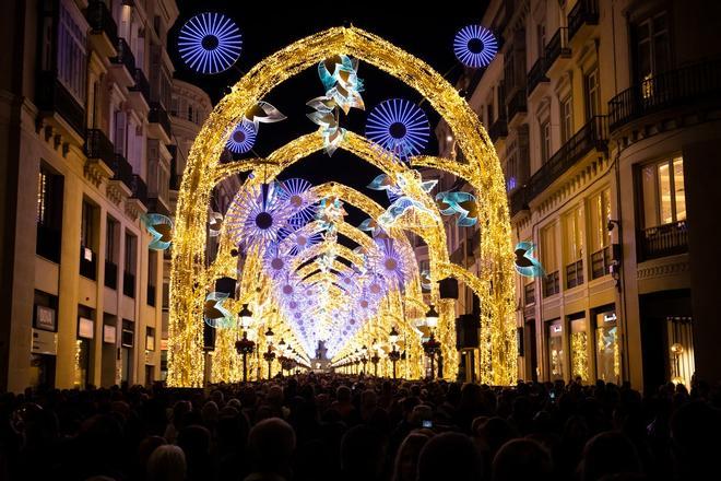 Bosque de la Navidad, Calle Larios, Málaga, navidad