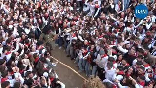 Mallorca enciende Sant Antoni: la Part Forana se vuelca con el patrón de los animales