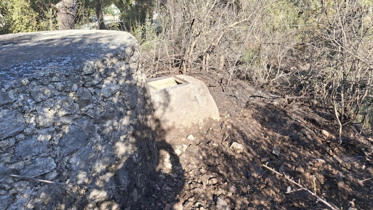 Arbustos calcinados por el incendio de esta mañana en Xàbia