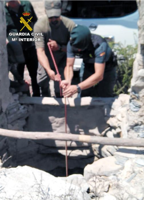 Rescatan el perro de un cazador que había caído en un pozo de 30 metros de profundidad en La Aljorra