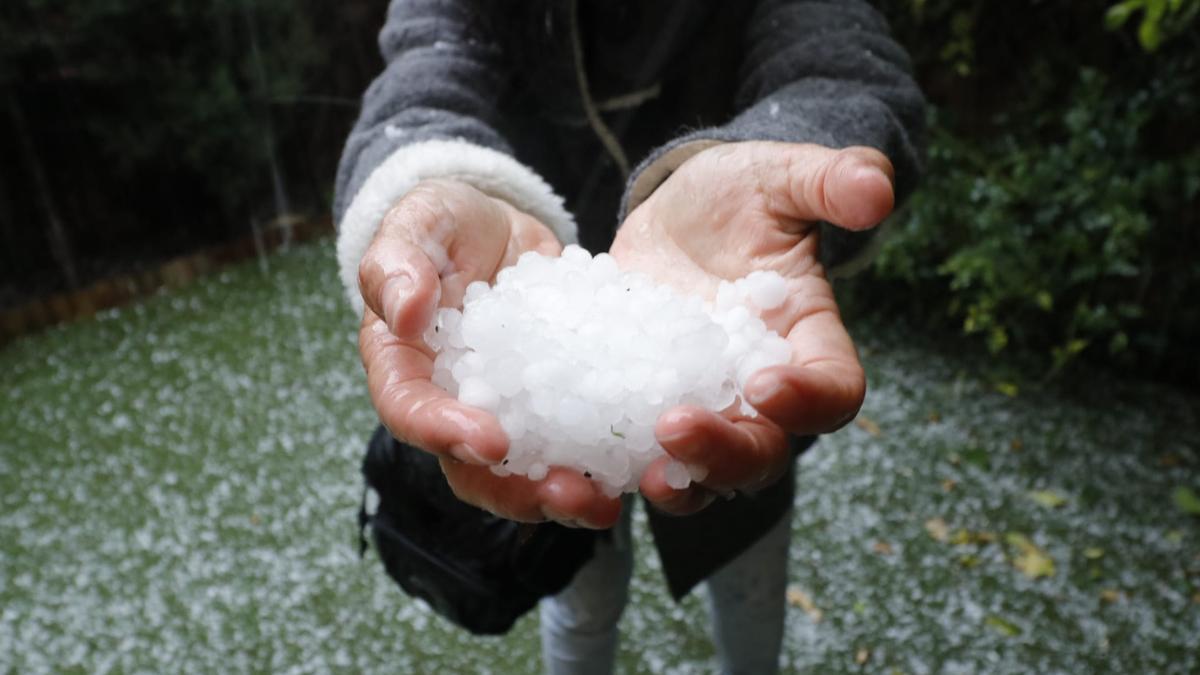 Piedras de granizo recogidas en Alcoy