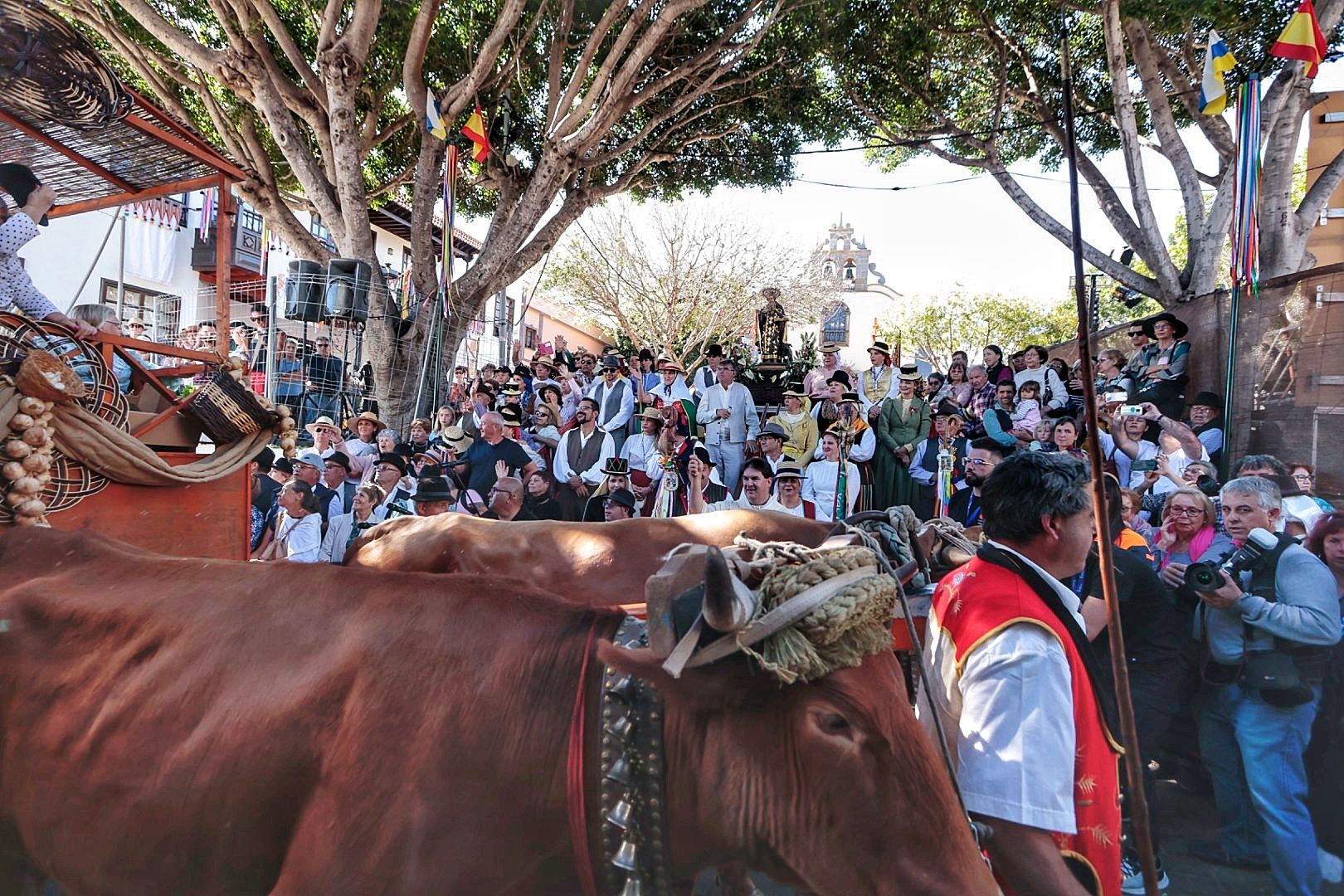 Romería San Antonio Abad en Arona