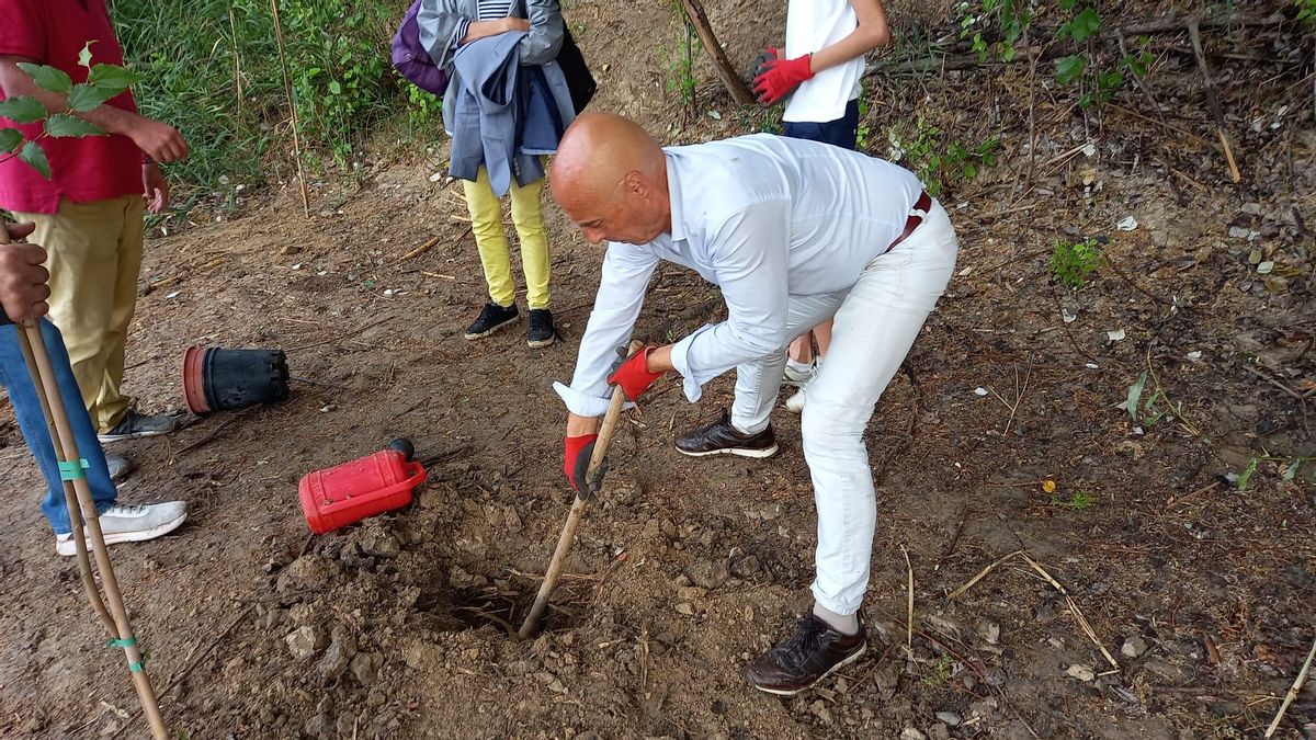 Antonio Hurtado planta un árbol a la orilla del Guadalquivir