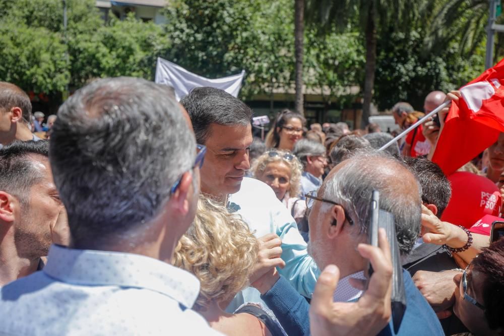 Sánchez pide en Palma el voto masivo al PSOE para que "el avance del 28A sea rotundo"