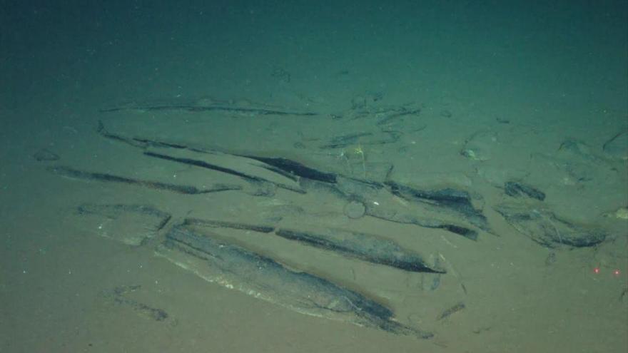 Descubren en el Océano Índico el mayor cementerio 