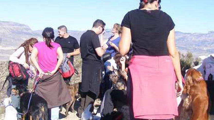 Marcha con perros en Orito del pasado domingo.