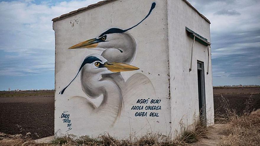 Arte, fauna y color para las casetas agrícolas del arrozal