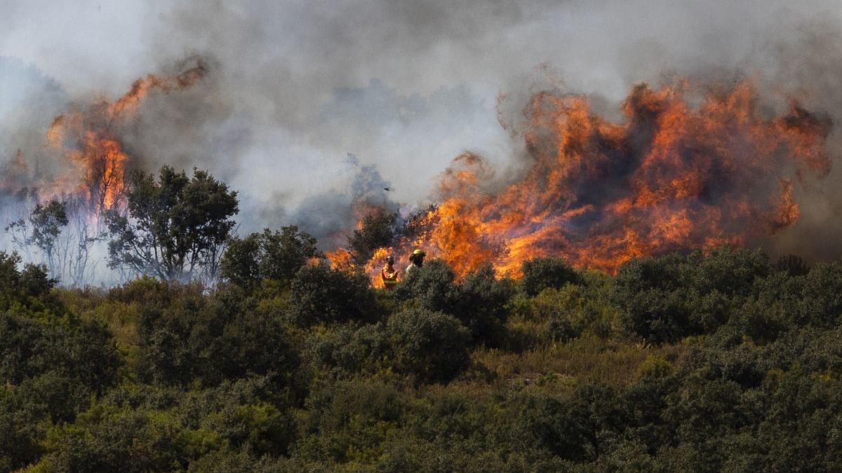 El incendio de Bejís se reaviva por el viento